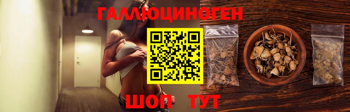 Торжок  Псилоцибиновые грибы прущие грибы  Вход с VPN 